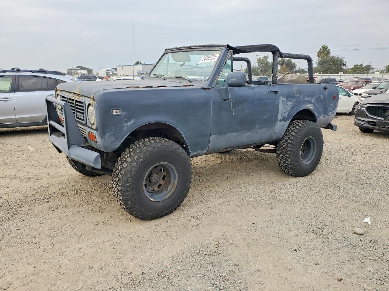 International Scout