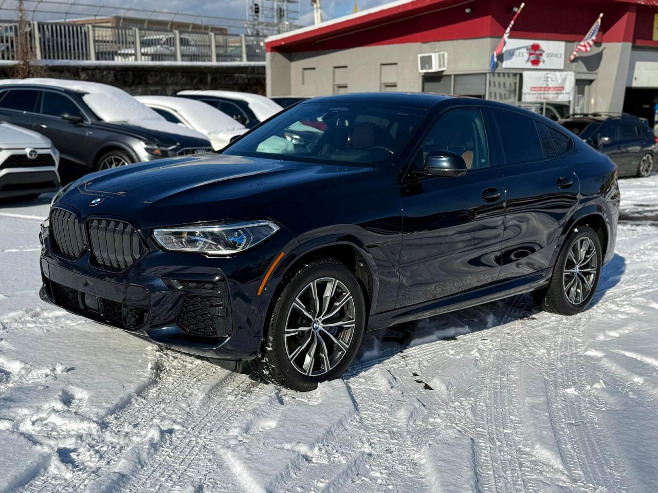 2022 BMW X6