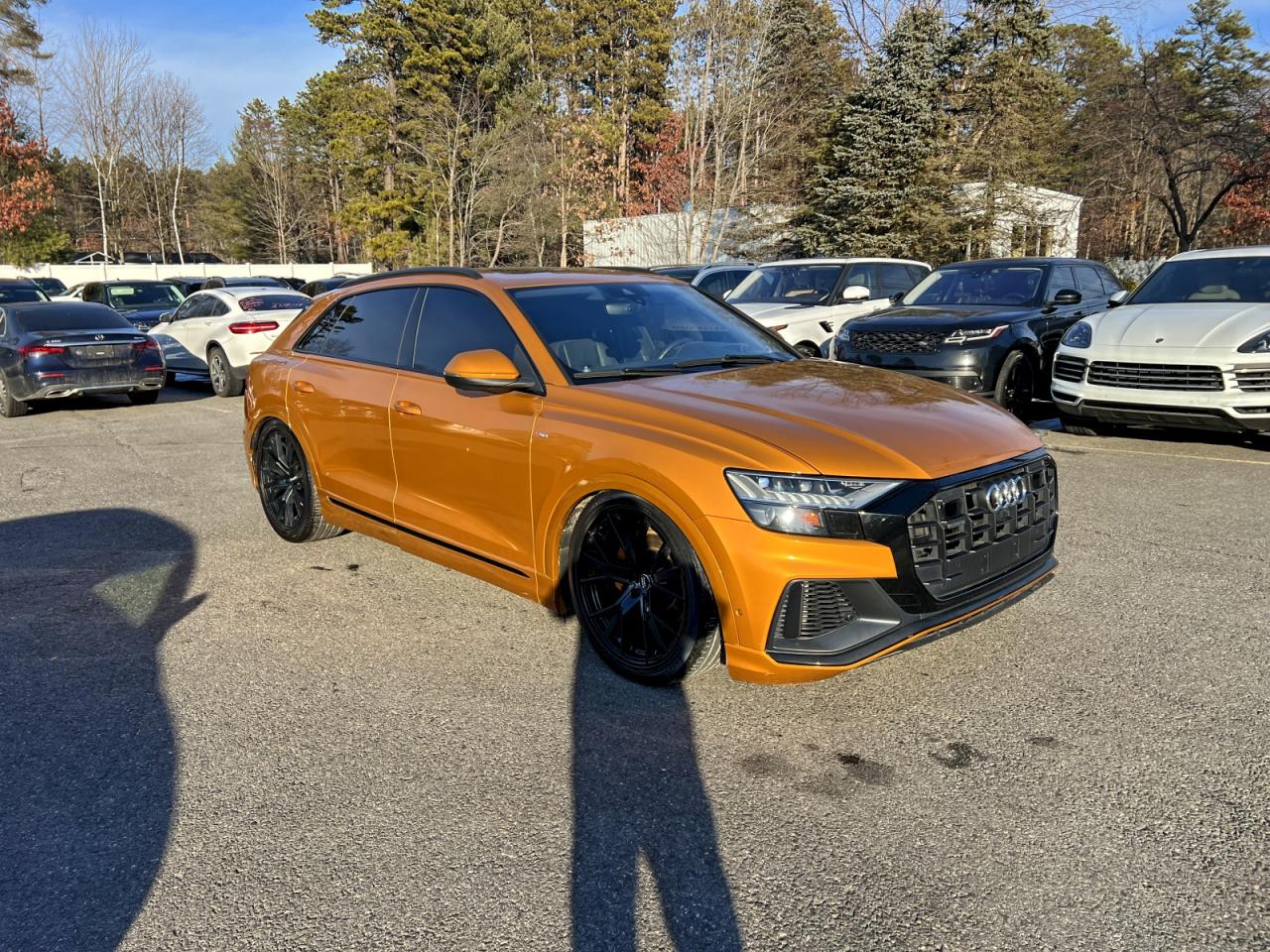 2019 Audi Q8
