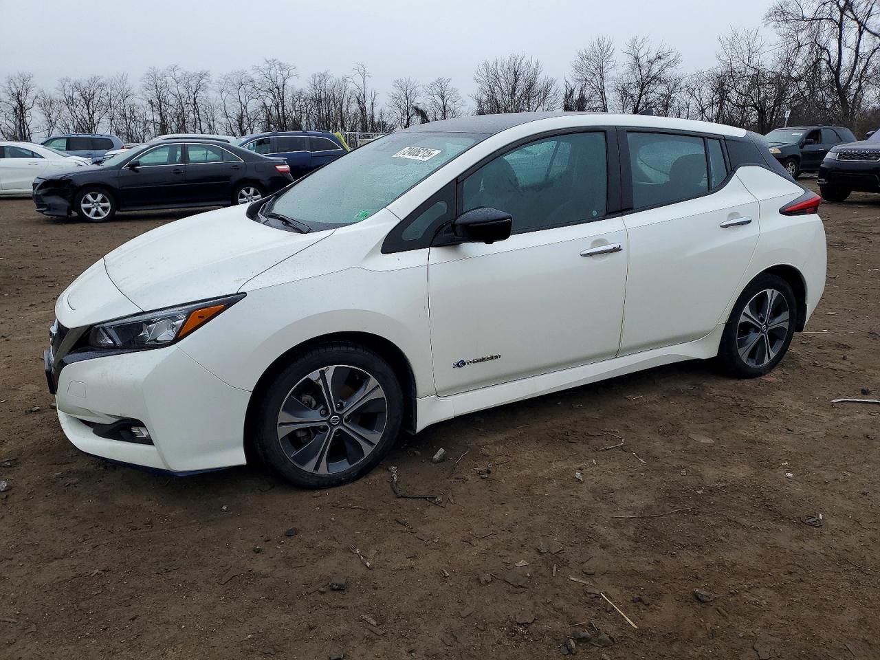 2019 Nissan Leaf