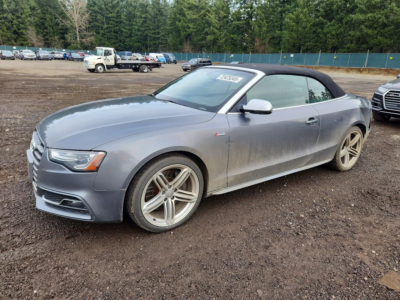2013 Audi S5