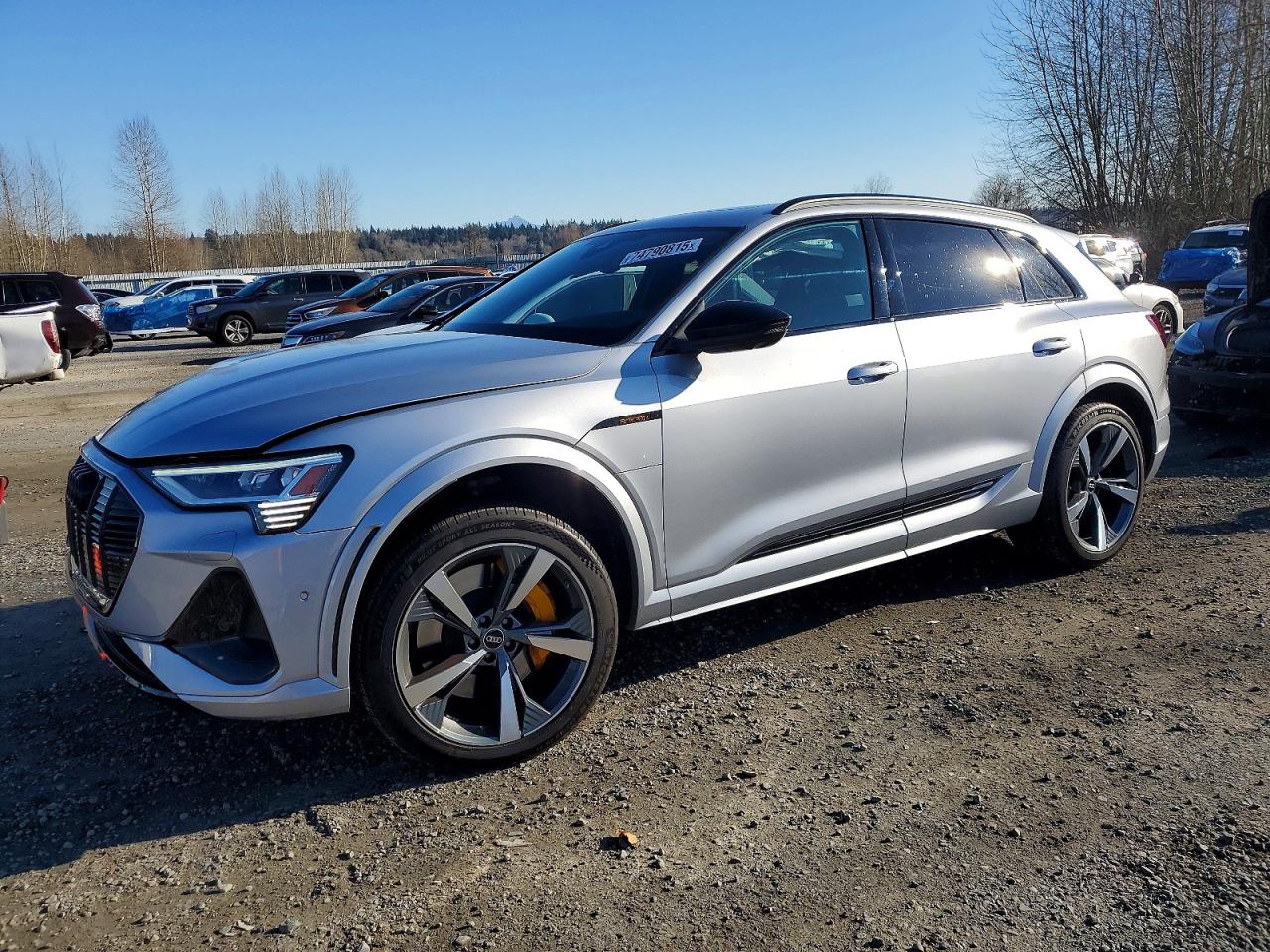 2022 Audi e-tron S