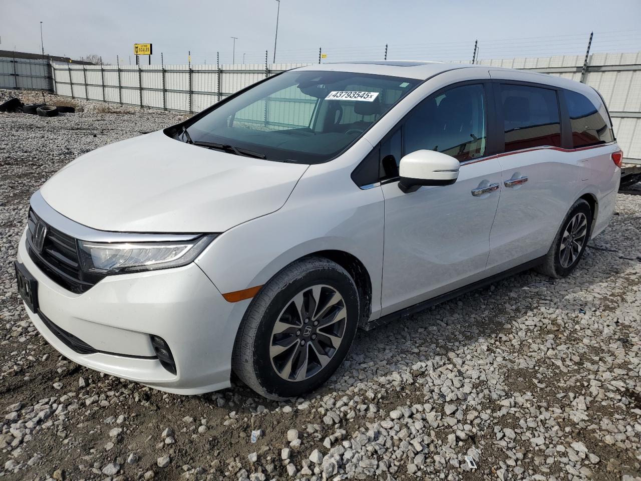 2023 Honda Odyssey ex EXL