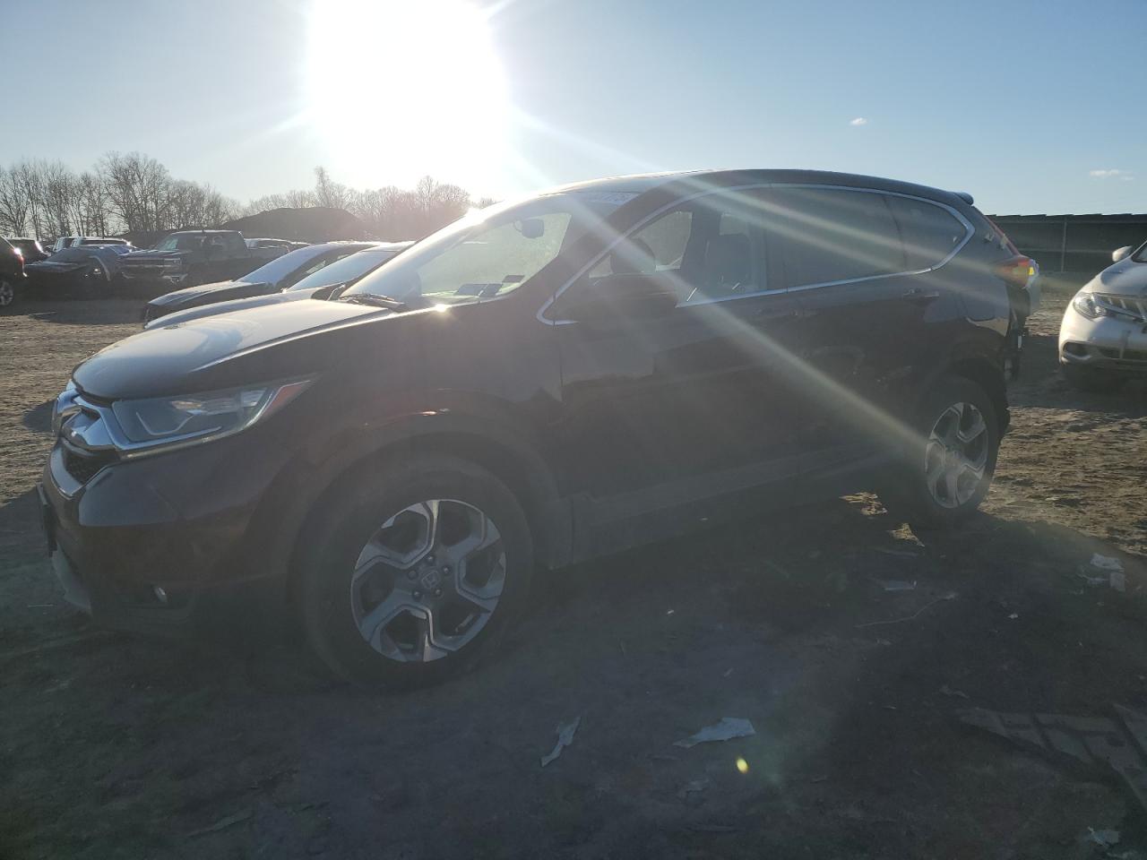 2019 Honda Cr-v exl EXL