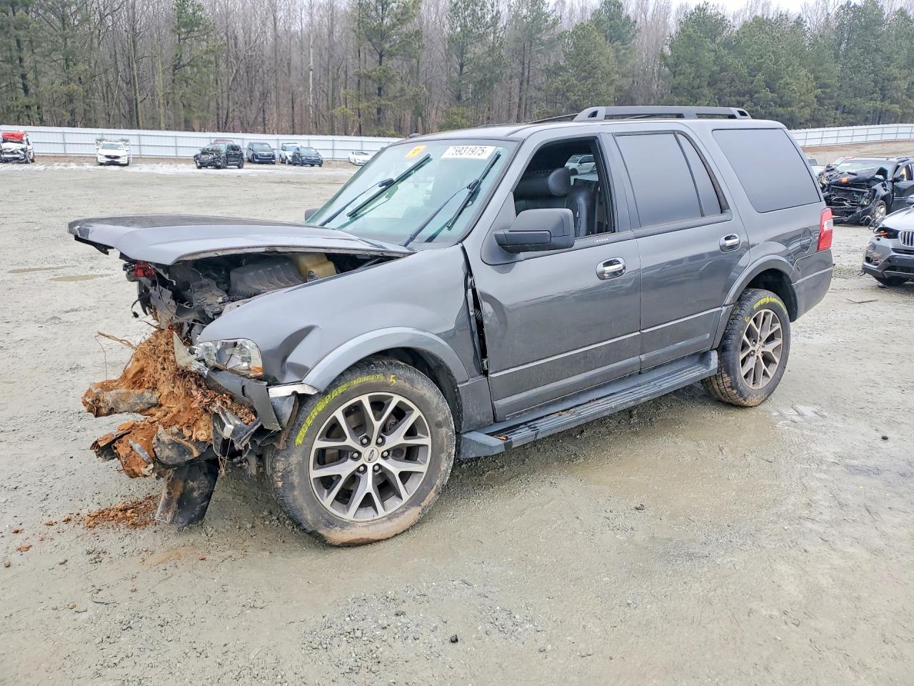 2016 Ford Expedition