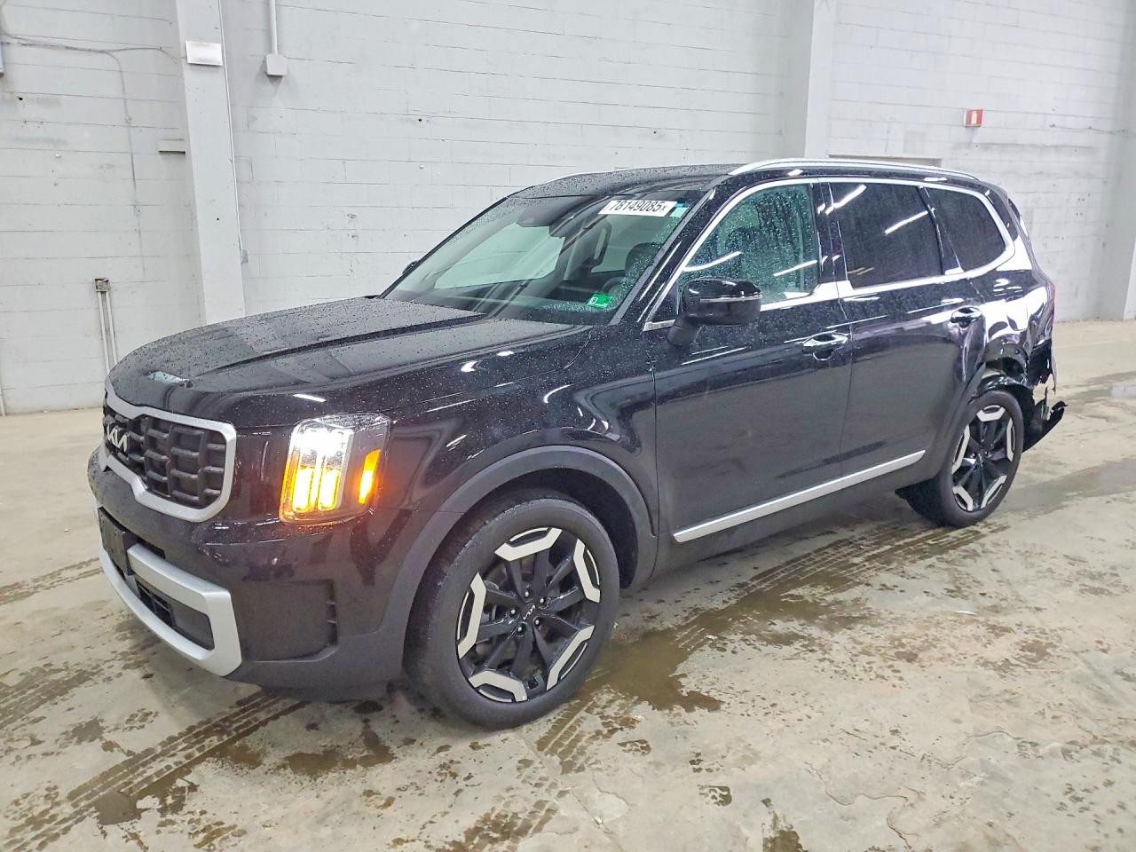 2024 Kia Telluride