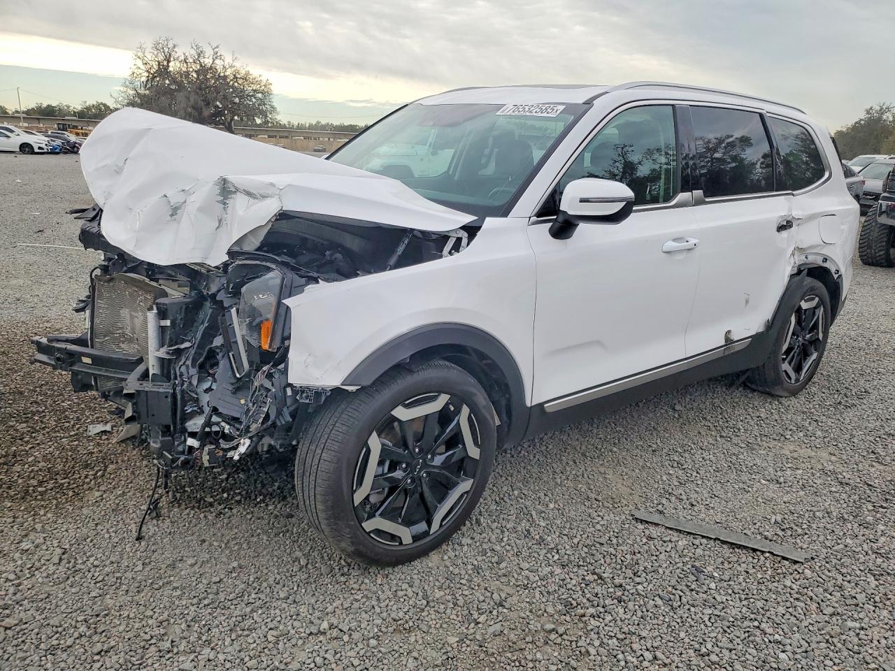 2024 Kia Telluride