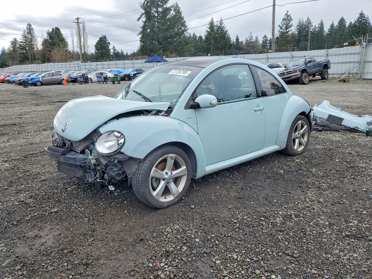 2010 Volkswagen Beetle