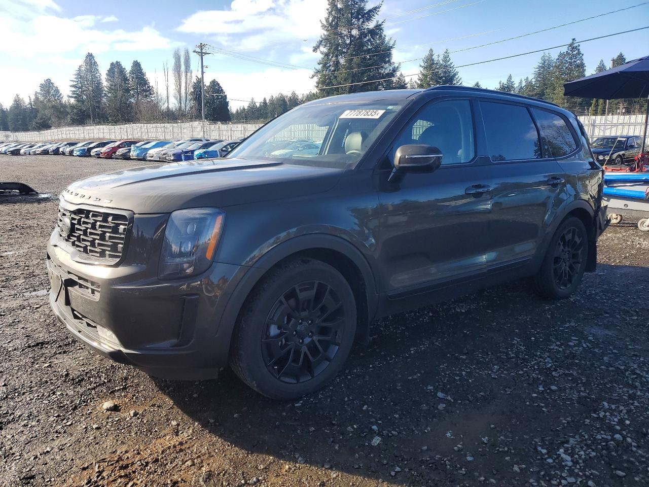 2021 Kia Telluride