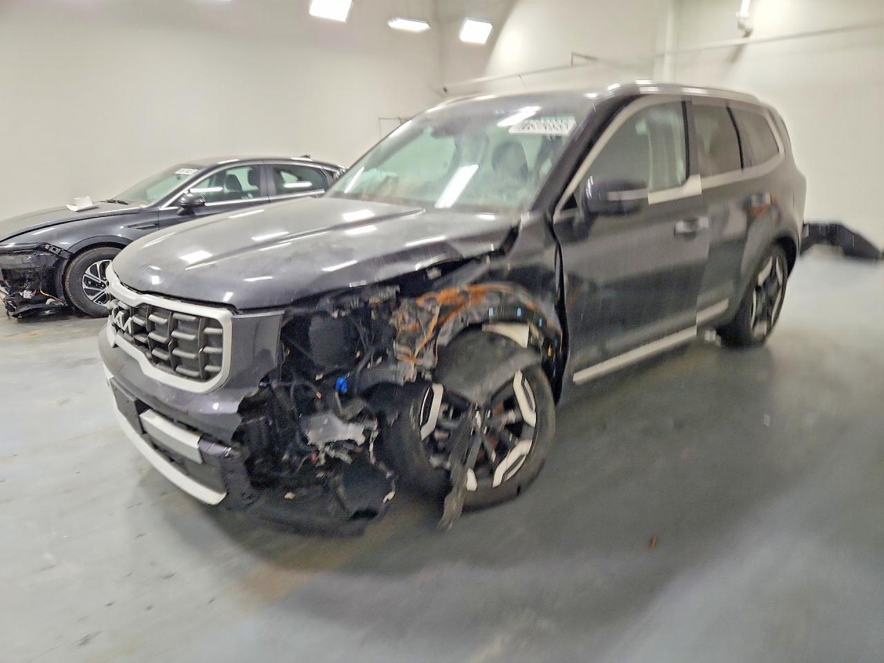 2025 Kia Telluride