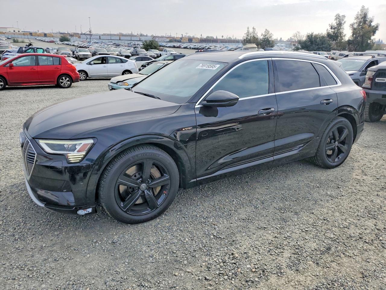2019 Audi e-tron