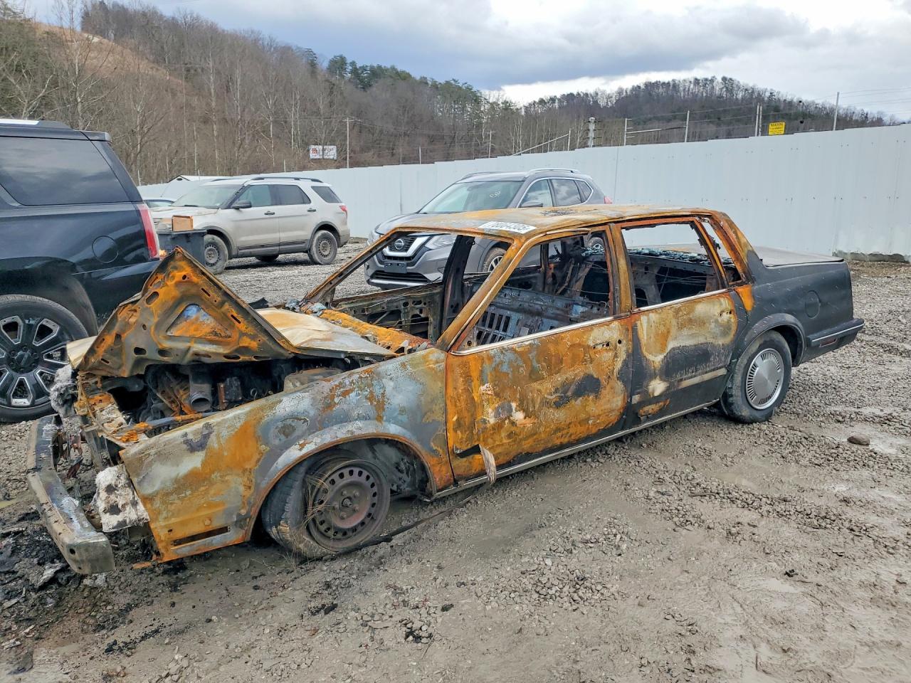 1984 Chevrolet Celebrity