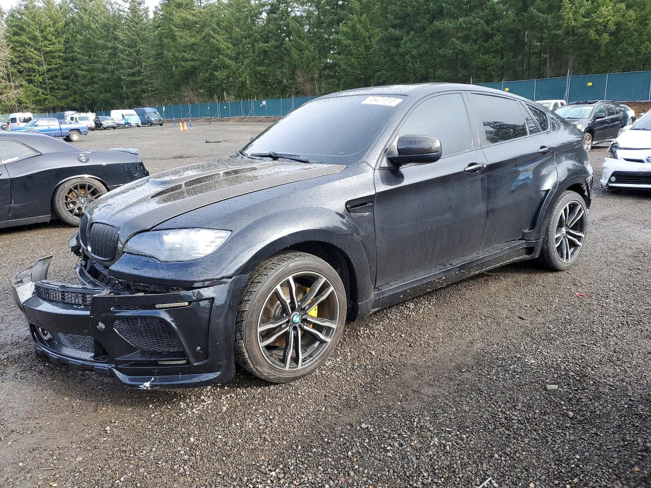 2010 BMW X6