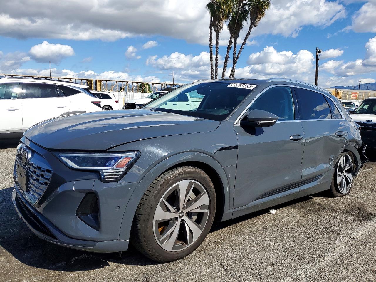 2024 Audi Q8