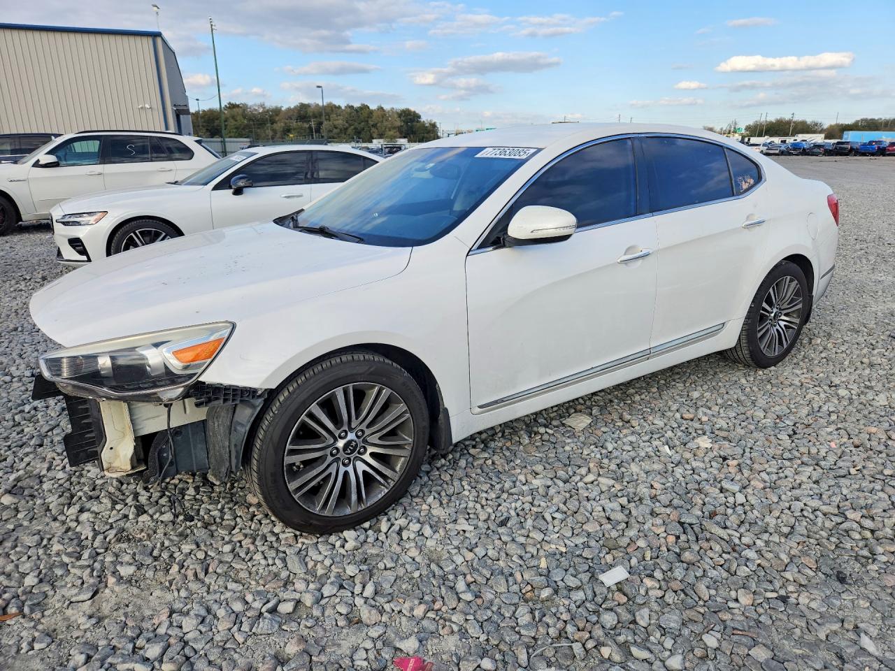 2014 Kia Cadenza