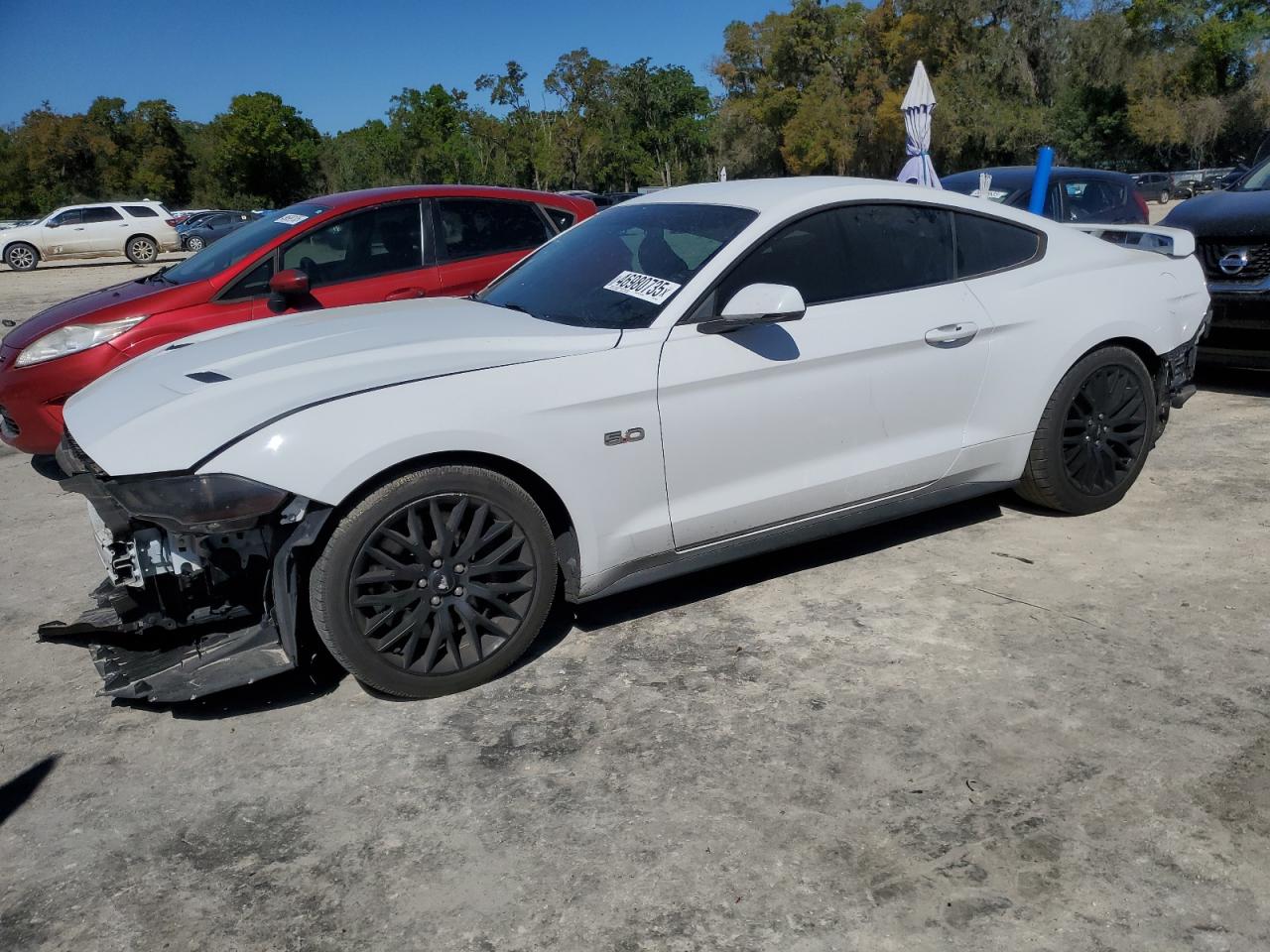 2019 Ford Mustang gt GT