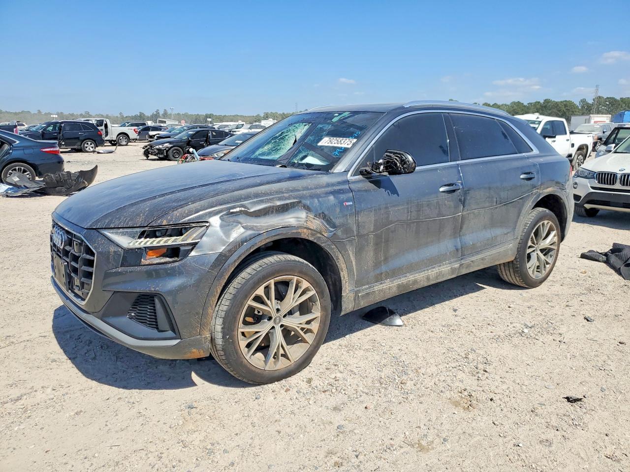 2021 Audi Q8