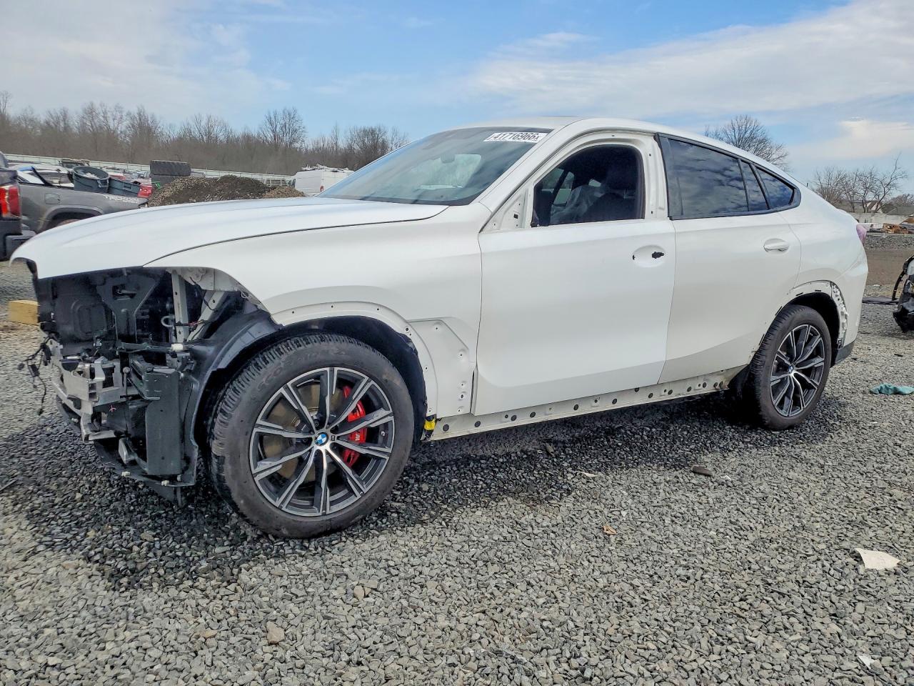 2023 BMW X6