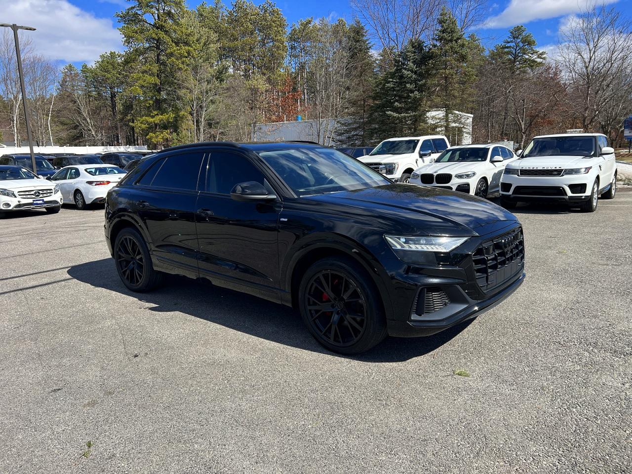 2019 Audi Q8