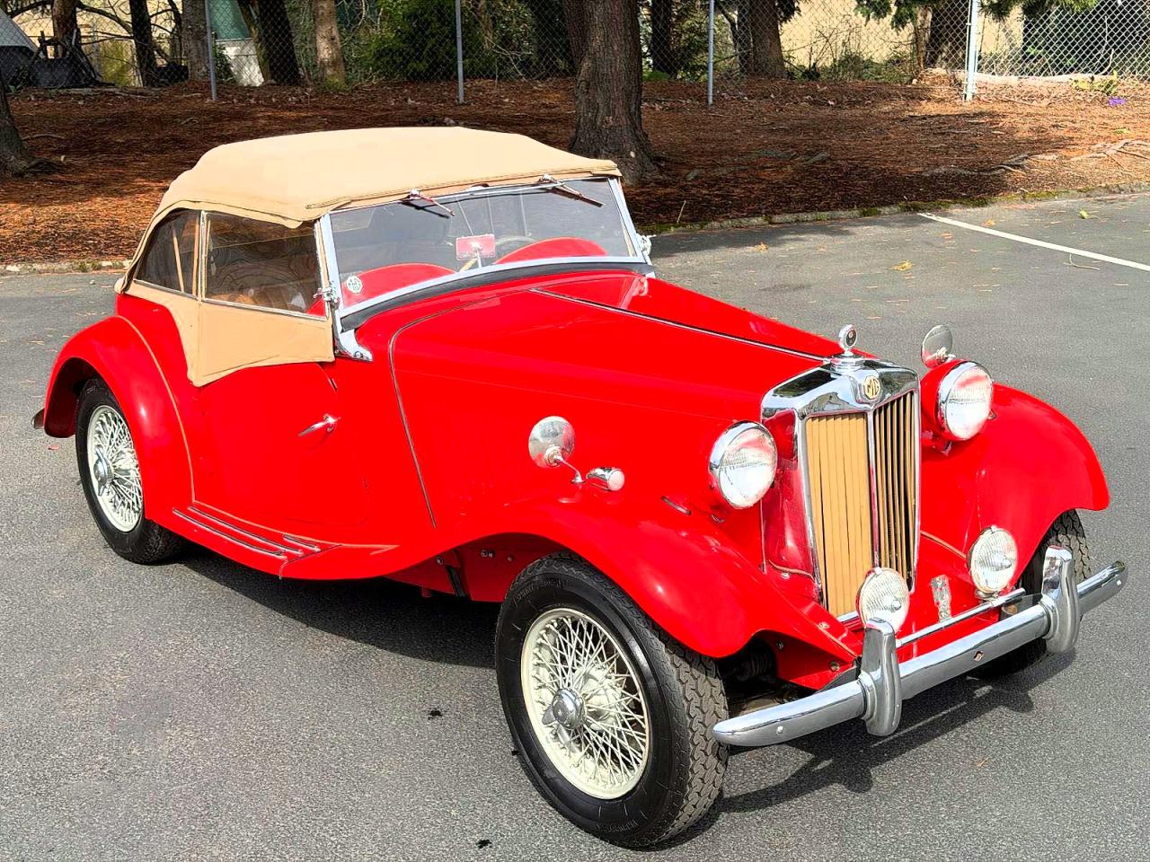 1950 Mg Td