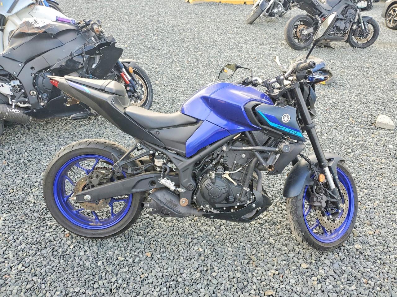 2023 Yama Mt-03