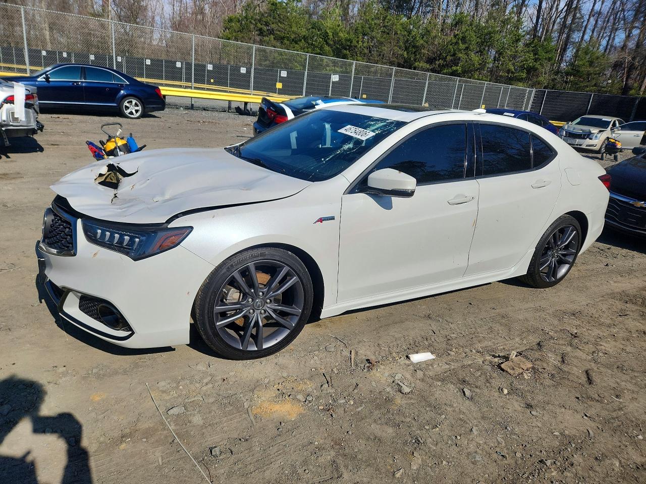 2019 Acura TLX