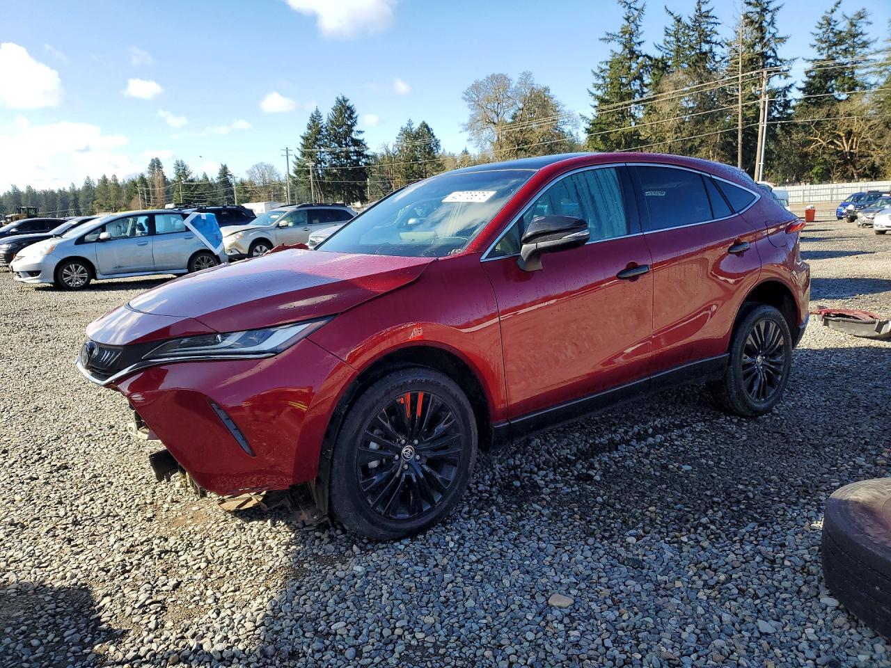 2023 Toyota Venza