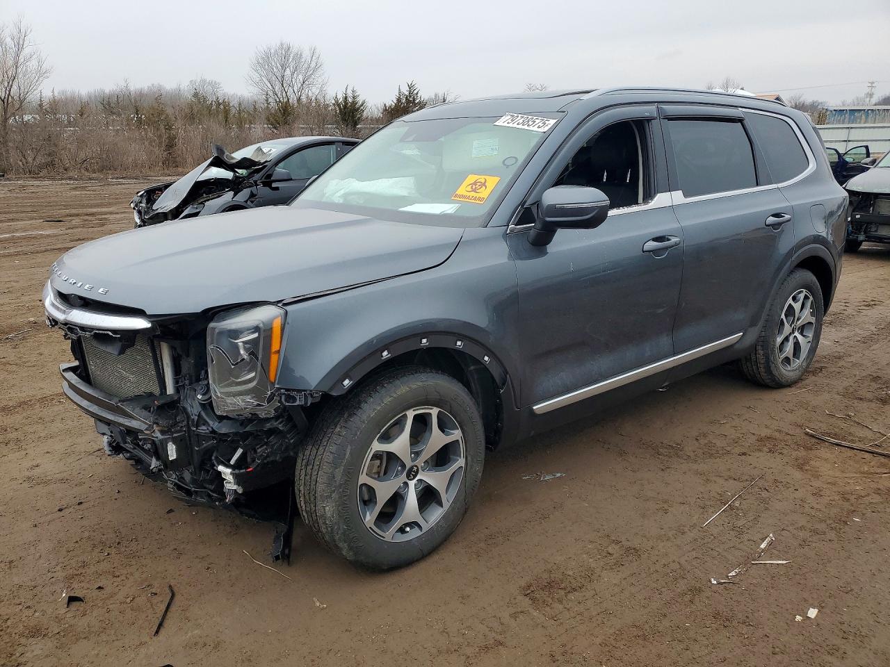 2020 Kia Telluride