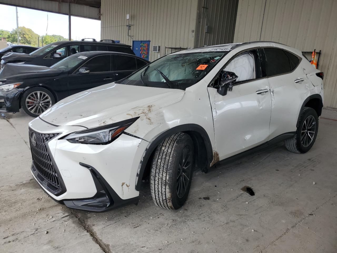 2025 Lexus Nx 250 pre 250 PREMIUM