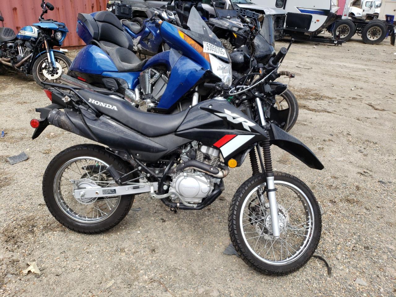 2024 Honda Xr150l