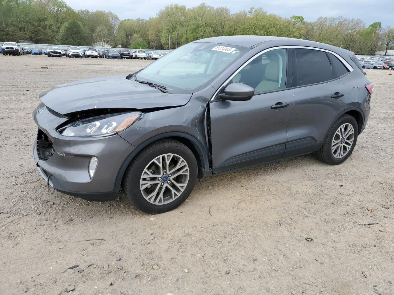 2022 Ford Escape sel SEL