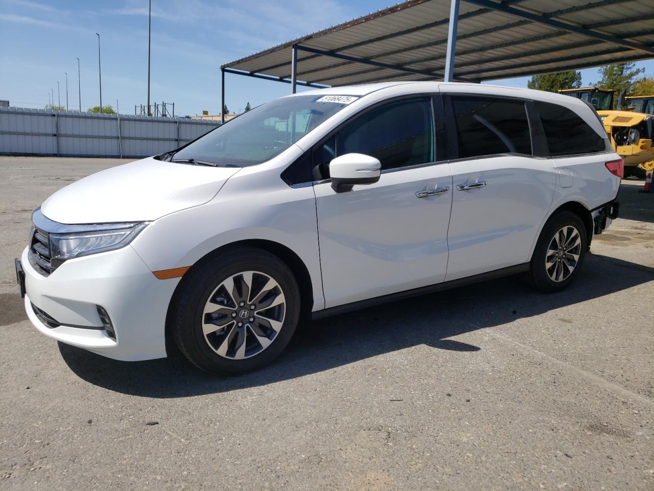 2024 Honda Odyssey exl EXL