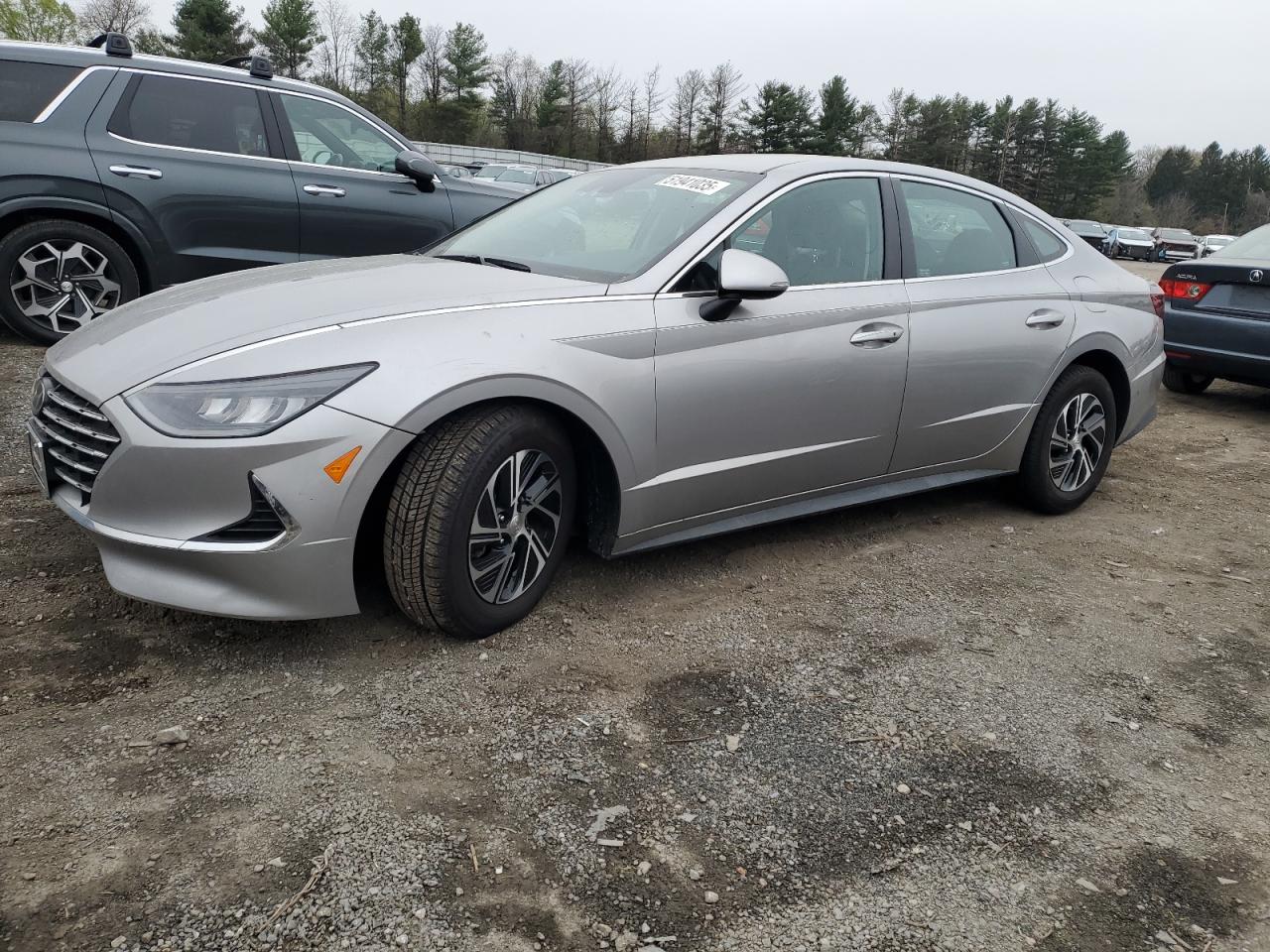 2021 Hyundai Sonata hyb HYBRID