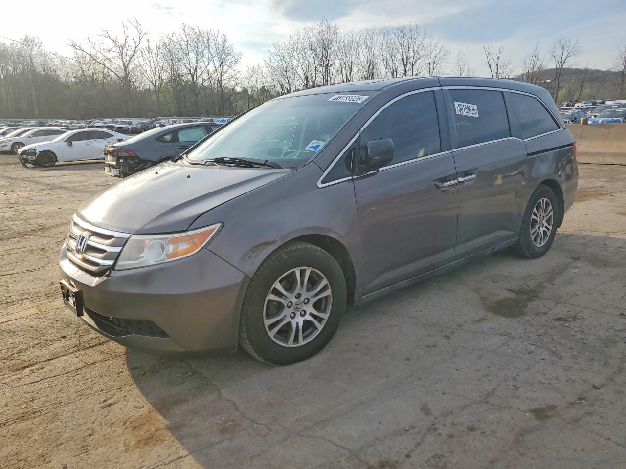 Hond Odyssey