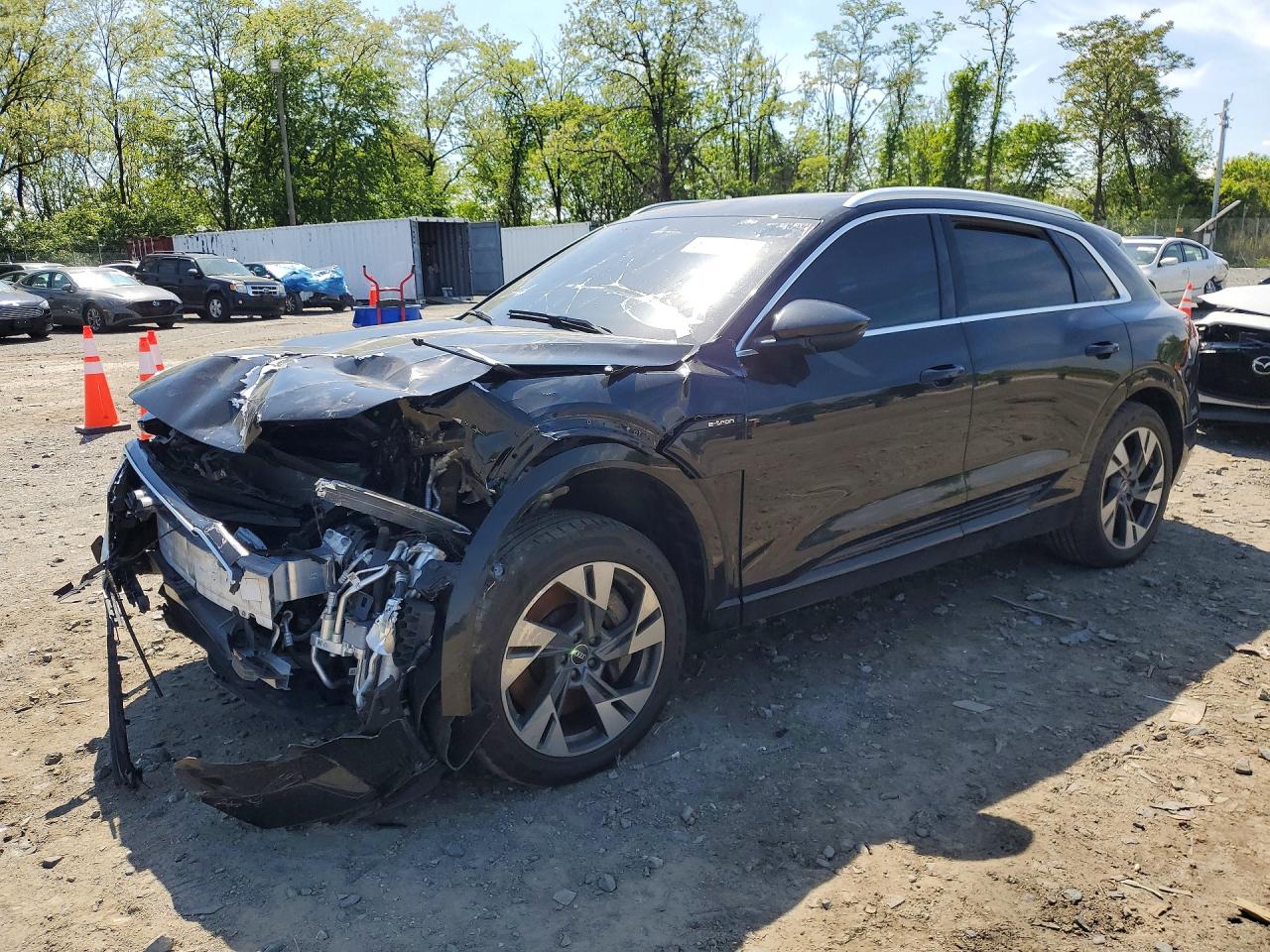 2021 Audi e-tron