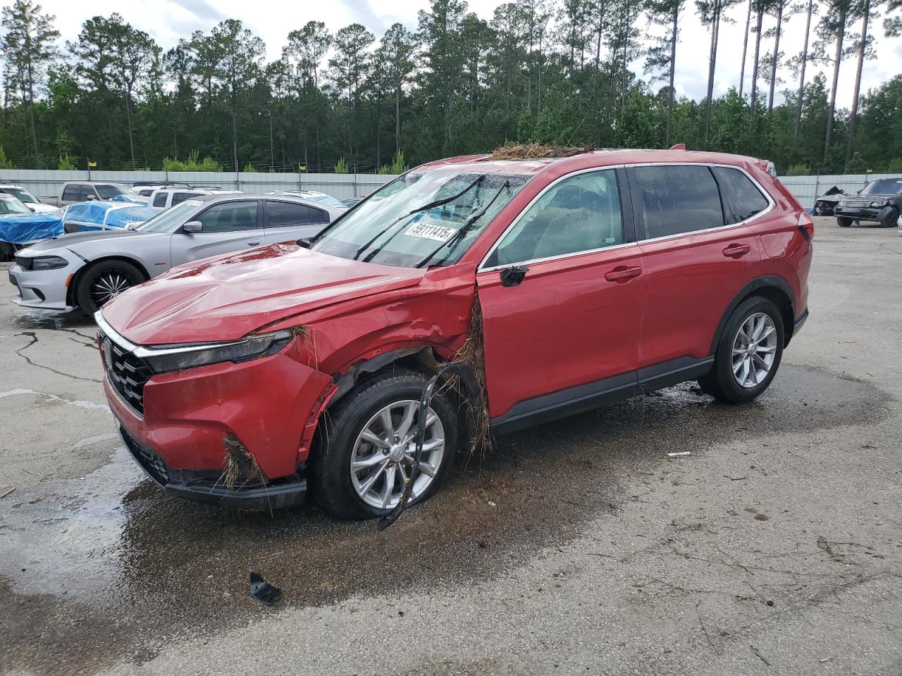 2023 Honda Cr-v exl EXL