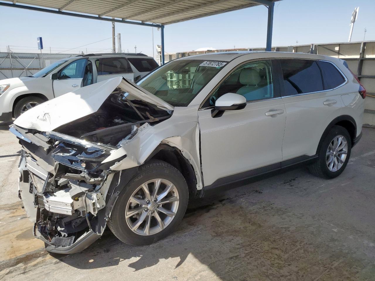 2024 Honda Cr-v exl EXL