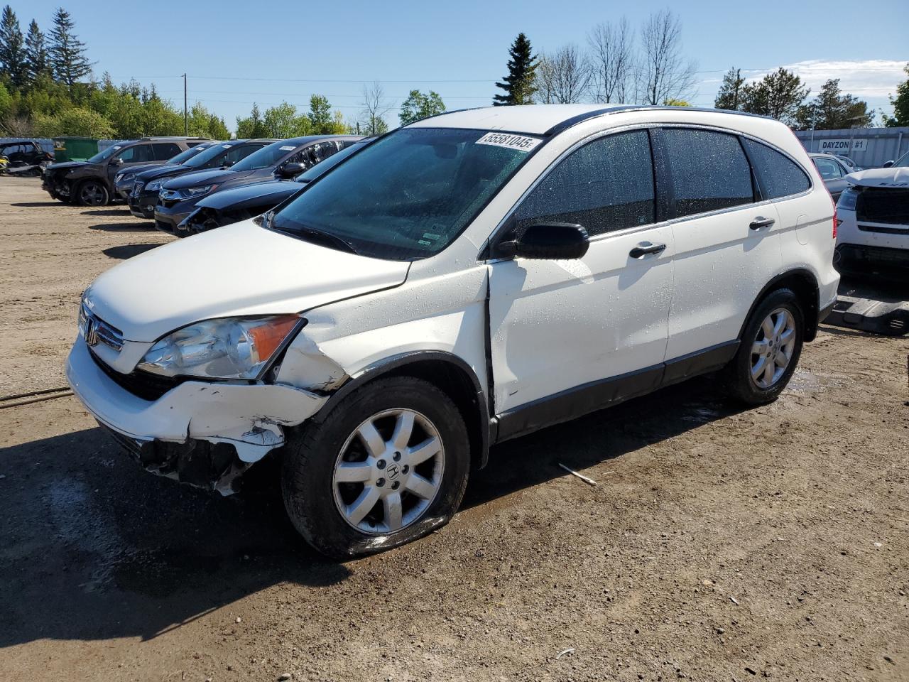 2008 Honda Cr-v lx LX