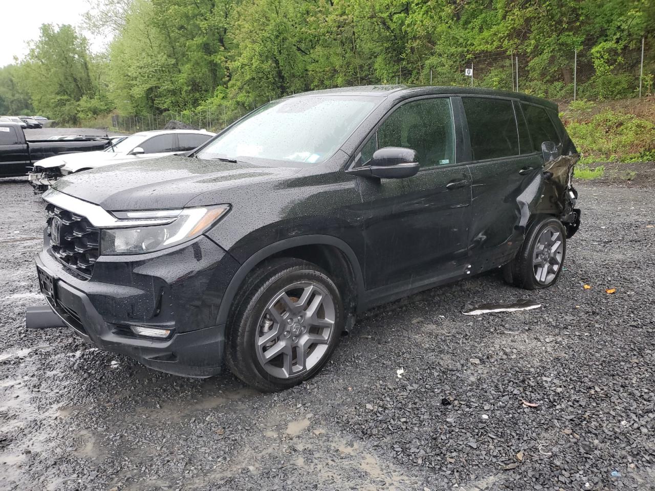 Honda Passport