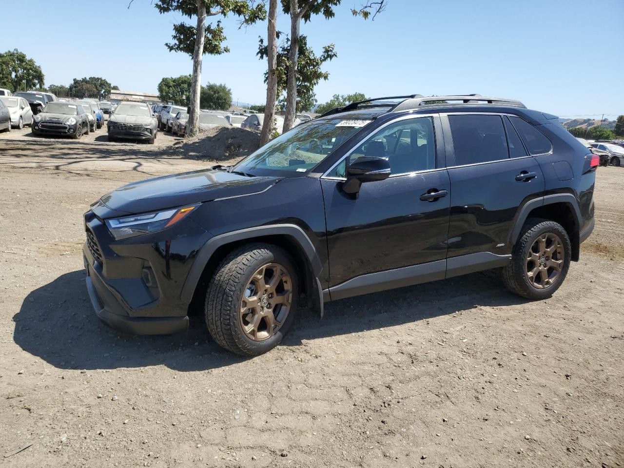 2025 Toyota Rav4 Woodl