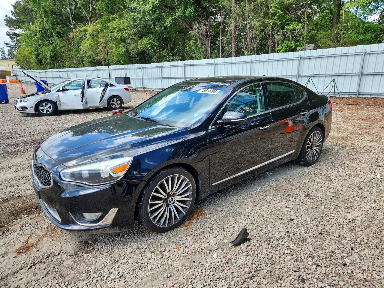 2014 Kia Cadenza