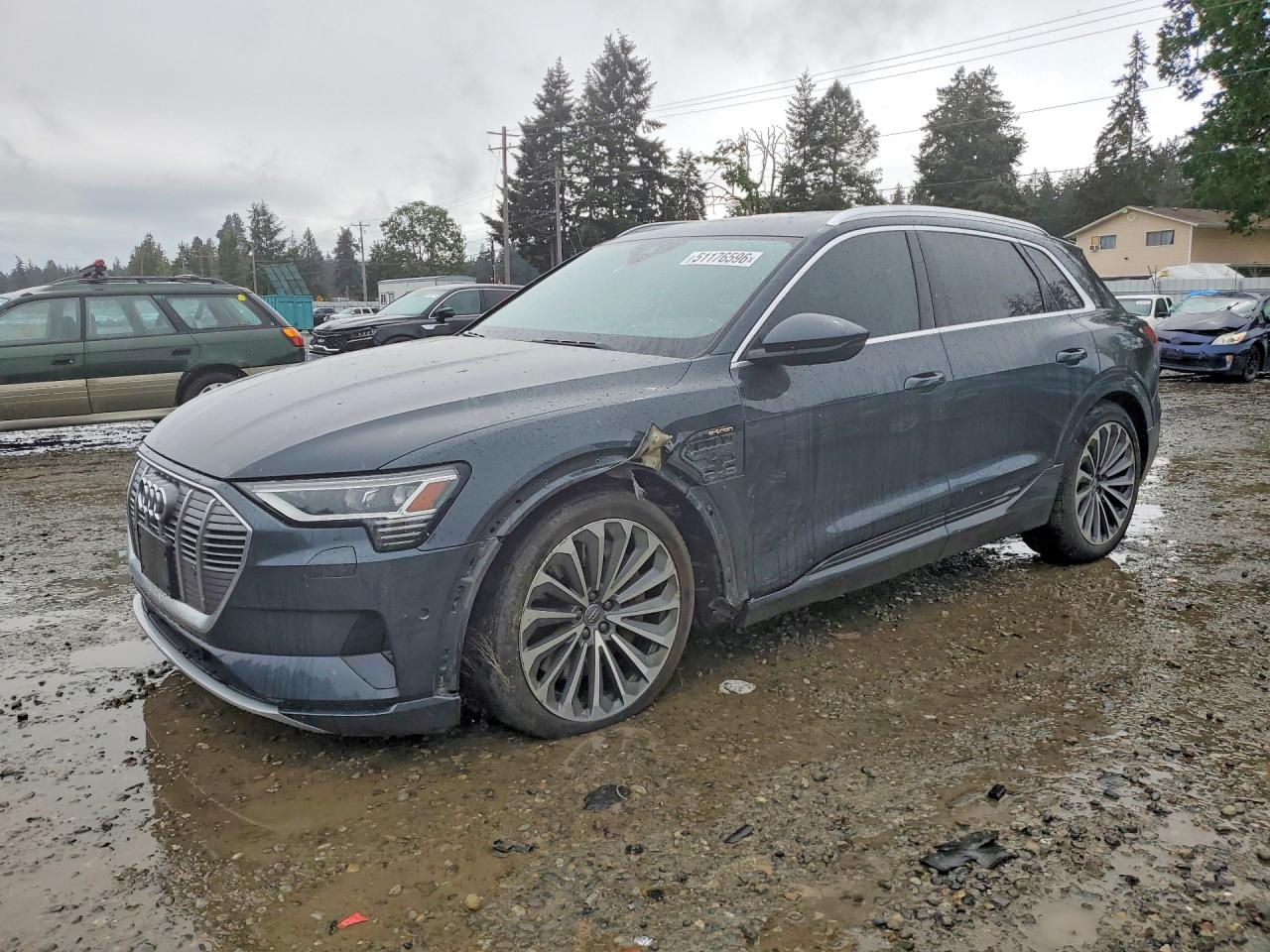 2019 Audi e-tron