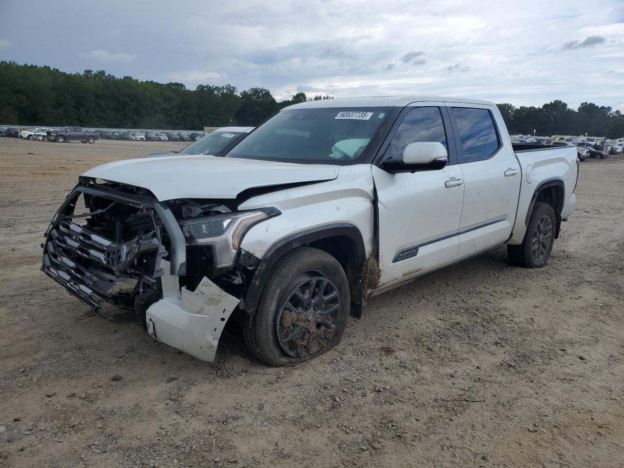 2025 Toyota Tundra crewmax platinum CREWMAX PLATINUM