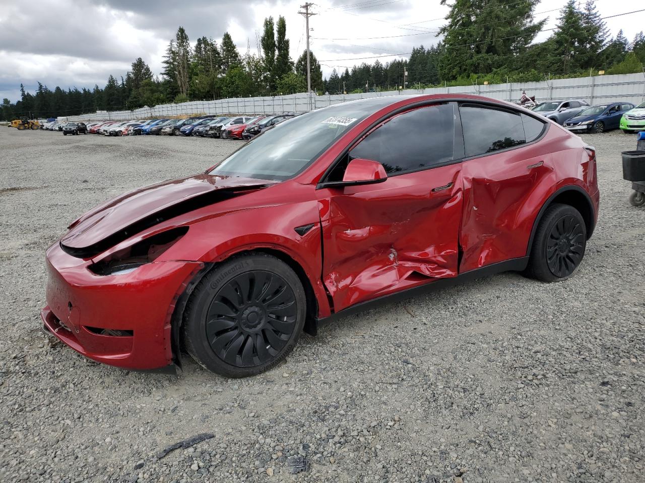 2024 Tesla Model y