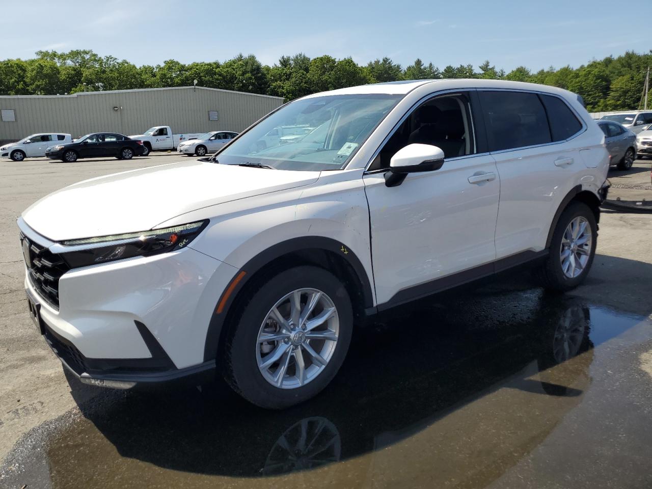 2024 Honda Cr-v ex EX