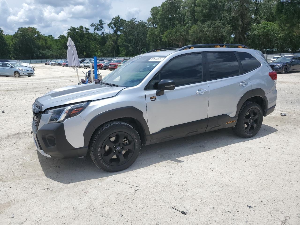2024 Subaru Forester w WILDERNESS