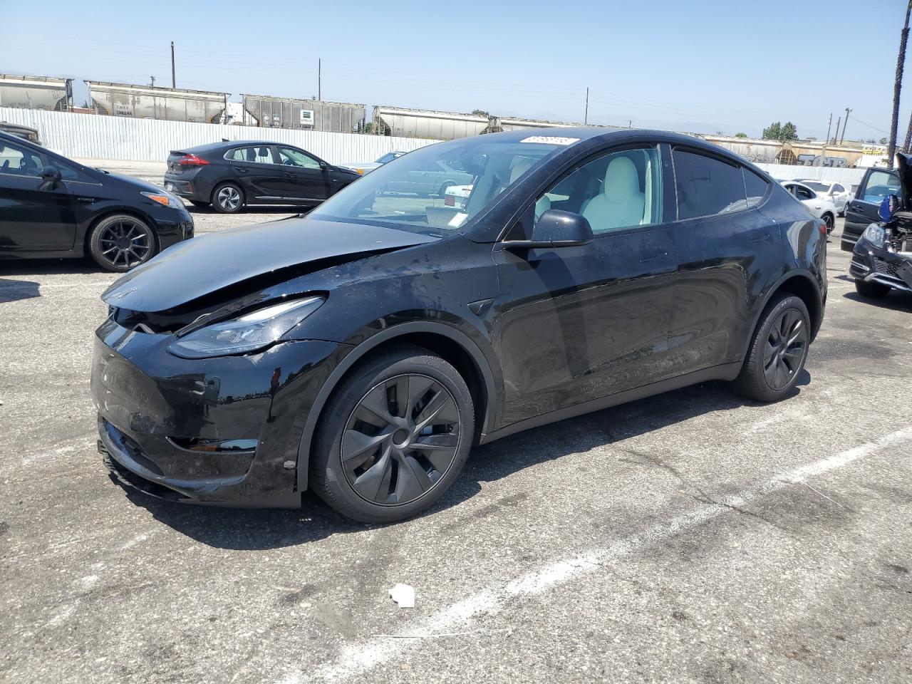 2025 Tesla Model y