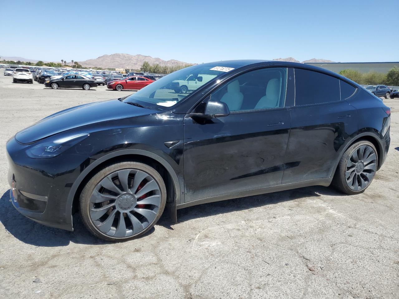2025 Tesla Model y