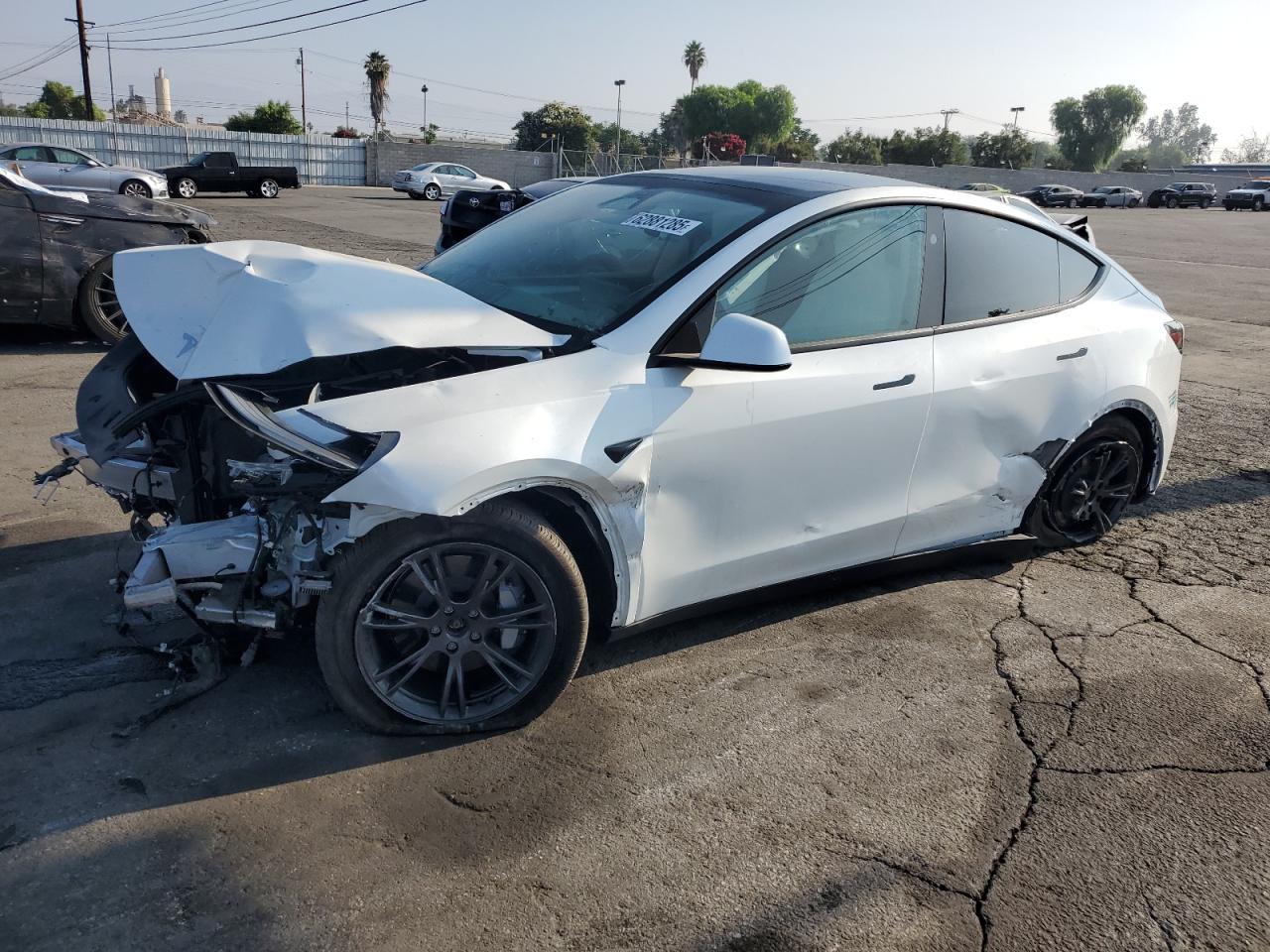 2024 Tesla Model y