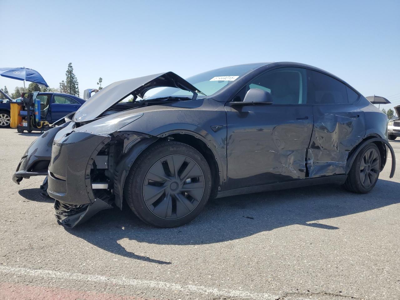 2025 Tesla Model y